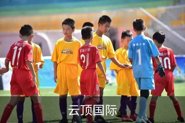云顶国际公司简介图片